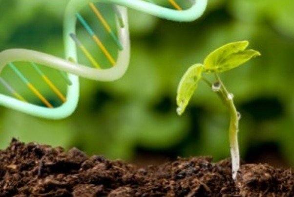 اعلام برندگان دهمین دوره جایزه زیست فناوری
