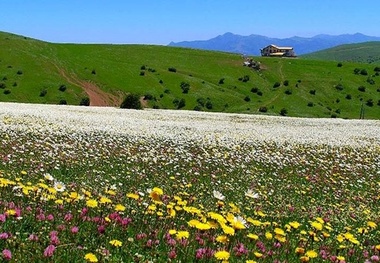 مطالعات سایت گردشگری «فندقلو» در نمین آغاز شد