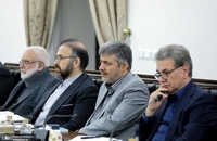 جلسه کمیته هماهنگی و نظارت بر اجرای قانون حمایت از حقوق افراد دارای معلولیت (2)