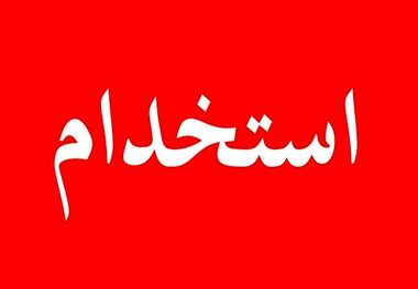 استخدام غیرقانونی 3-4 هزار نفر در دولت سیزدهم! + فیلم