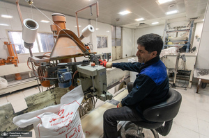 شوق شیرین تولید شکر / کارگران تولید قند و شکر