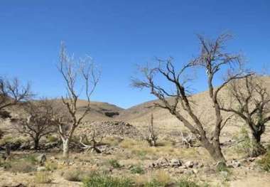 ابرها در خراسان جنوبی بارور نمی شود