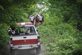 گمشدگان جنگل های نور پیدا شدند
