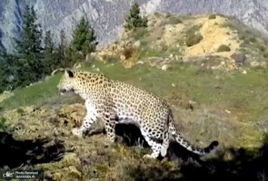 منتخب تصاویر امروز جهان - 6 خرداد 1401