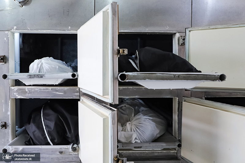 منتخب تصاویر امروز جهان- 8 شهریور 1400