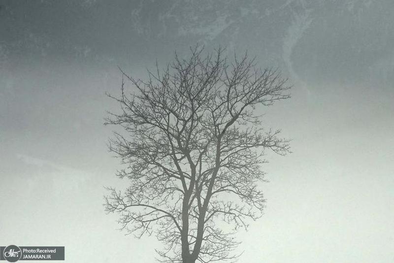 منتخب تصاویر امروز جهان- 10 دی 1400