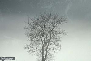 منتخب تصاویر امروز جهان- 10 دی 1400