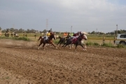 هفته چهارم مسابقات کورس اسب کشور در اهواز برگزار شد