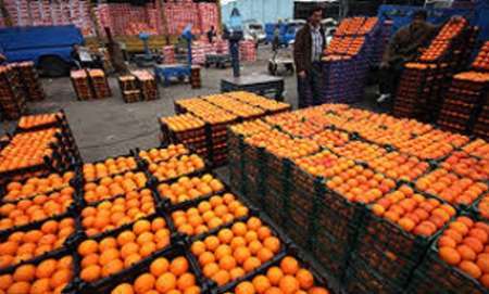 عرضه پرتقال با قیمت 4200 تومان در 60 میدان میوه و تره بار تهران
