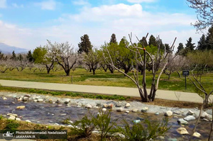 باغ گیاه شناسی ملی ایران