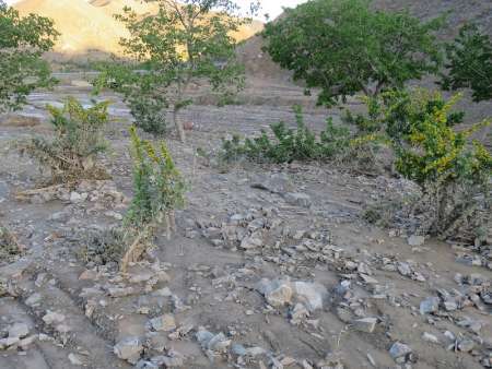 خسارت 10.5میلیارد ریالی سیل به روستاهای بخش قهستان شهرستان درمیان