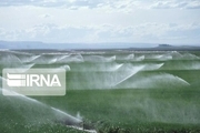 ۱۷۰ هزار هکتار از اراضی کشاورزی قزوین قابلیت آبیاری مدرن دارند