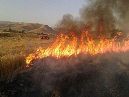 285 مورد آتش سوزی فضای سبز در محدوده شهری اراک رخ داد