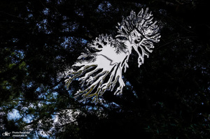 منتخب تصاویر امروز جهان - 21 شهریور 1401