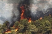 3 هکتار از عرصه های جنگلی اسفراین در آتش سوخت