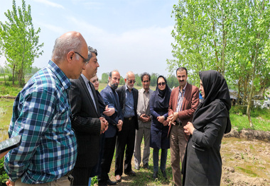 کشت ارگانیک محصولات کشاورزی در منطقه آزاد انزلی