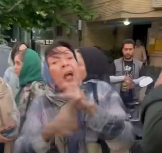 اطلاعیه پلیس درباره ویدیوی منتشرشده از درگیری بازیگر زن و یک مامور
