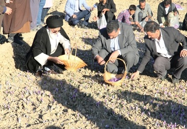 سومین جشنواره زعفران ، طلای سرخ بهاباد آغاز شد