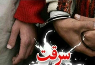 کشف 85 فقره سرقت و دستگیری 29 سارق