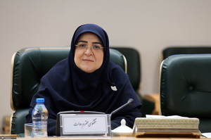 سیزدهمین جلسه کار گروه ویژه معیشت و رفاه در بانک مرکزی