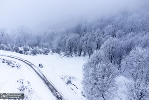 منتخب تصاویر امروز جهان - 17 بهمن 1401