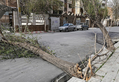 دستگاه های عضو مدیریت بحران گلستان در آماده باش هستند