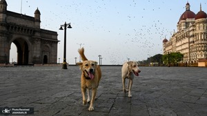  منتخب تصاویر امروز جهان- 8 اردیبهشت 1400 