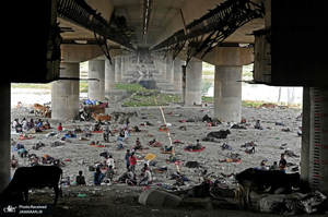 منتخب تصاویر امروز جهان - 22 اردیبهشت 1401