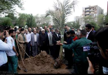 مردم اهواز به یاد شهدای حادثه تروریستی نهال کاشتند