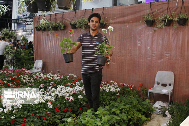 ۶۰ تولیدکننده در نمایشگاه گل و گیاه کرمانشاه حضور دارند