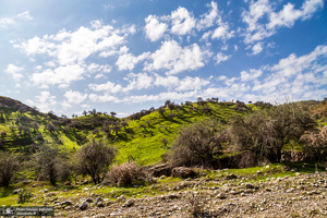 طبیعت بکر و زیبای«کفشکنان»