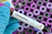 ابتلای 9 نفر به ویروس کرونا در فدراسیون جودو ژاپن
