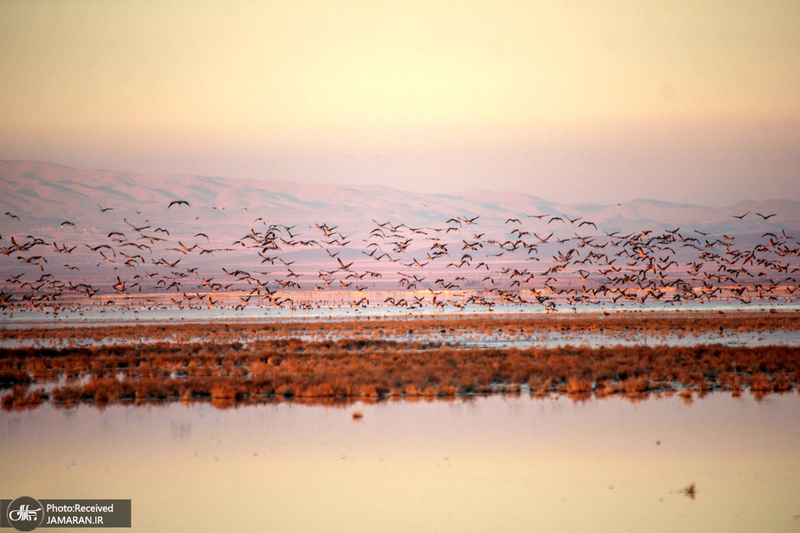 منتخب تصاویر امروز جهان- 21 خرداد 1400