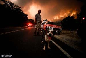 منتخب تصاویر امروز جهان- 24 مرداد