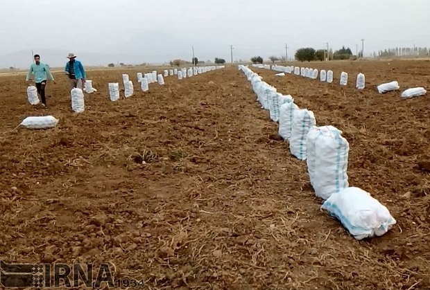 123میلیارد ریال وام کشاورزان سپیدان مشمول بخشودگی سود می شود