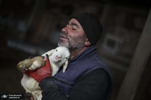  منتخب تصاویر امروز جهان- 18 دی 1400 