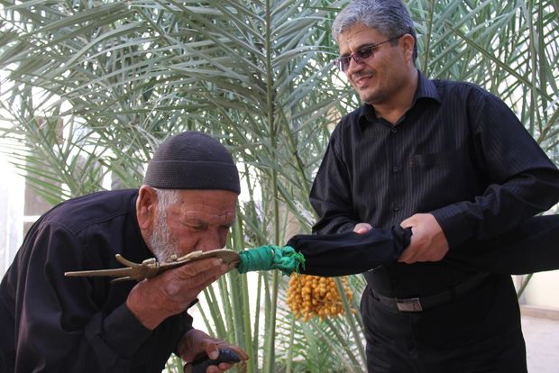 علم‌گردانی،  شوق کویرنشینان خور در رثای سقای دشت کربلا