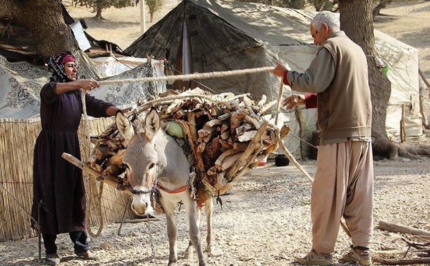 عشایر خمین و دلیجان در مناطق ییلاقی مستقر شدند