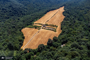 منتخب تصاویر امروز جهان - 30 تیر 1401