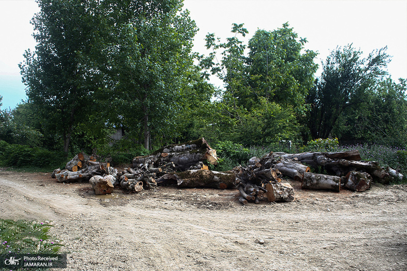 منتخب تصاویر امروز جهان- 9 مرداد 1400