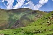 بارندگی تولید علوفه در مراتع غرب مازندران را افزایش داد