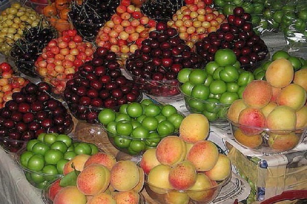 نخستین جشنواره میوه های فصلی در ارومیه برگزار می شود