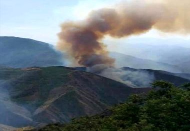 احتمال عمدی بودن آتش سوزی جنگل های ارسباران