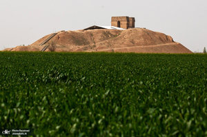 منتخب تصاویر امروز جهان- 31 اردیبهشت 1400