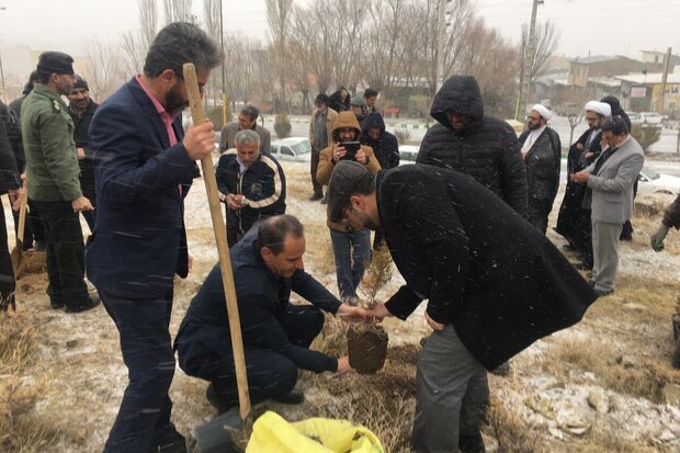 ۵۰۰ هزار نهال در استان سمنان کاشته خواهد شد