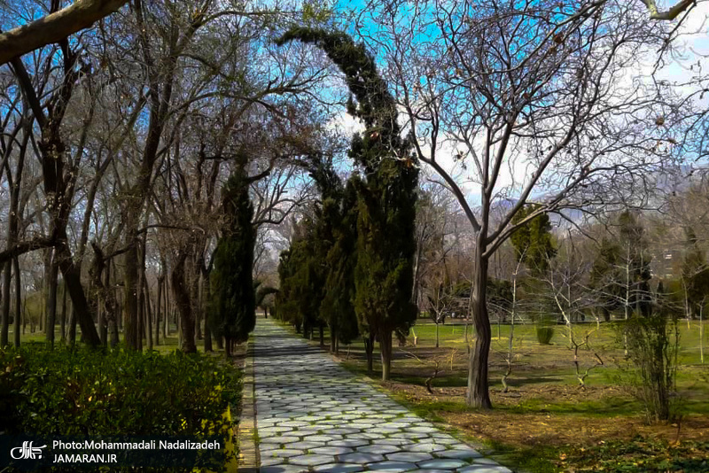 باغ گیاه شناسی ملی ایران