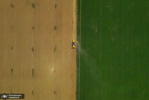 منتخب تصاویر امروز جهان - 29 تیر 1401