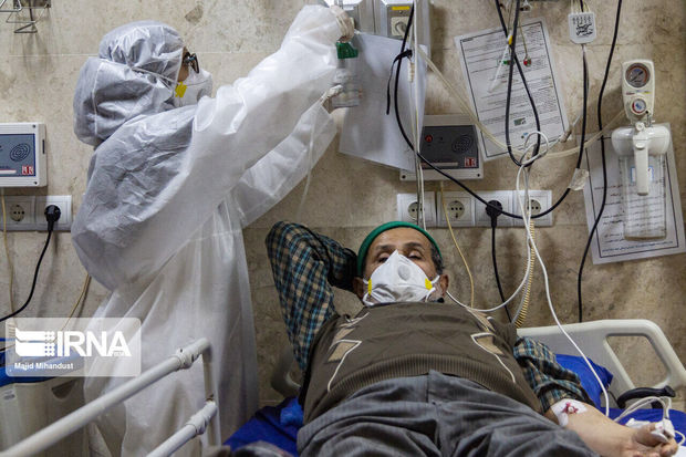 اتباع افغان مبتلا به کرونا در استان بوشهر رایگان درمان می‌شوند