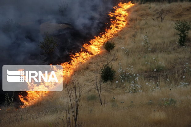 حدود ۱۰۴ هکتار از اراضی جنگلی گیلان دچار آتش سوزی شد