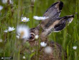منتخب تصاویر امروز جهان- 5 خرداد 1400